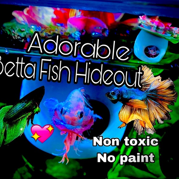 Betta Fish hideout - Picture 2 of 10